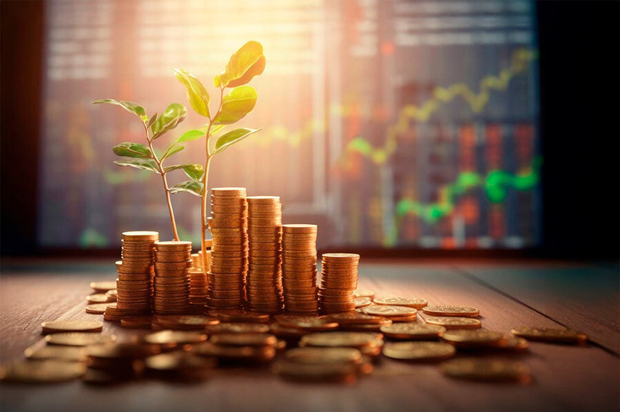 Stacks of coins beside a growing plant